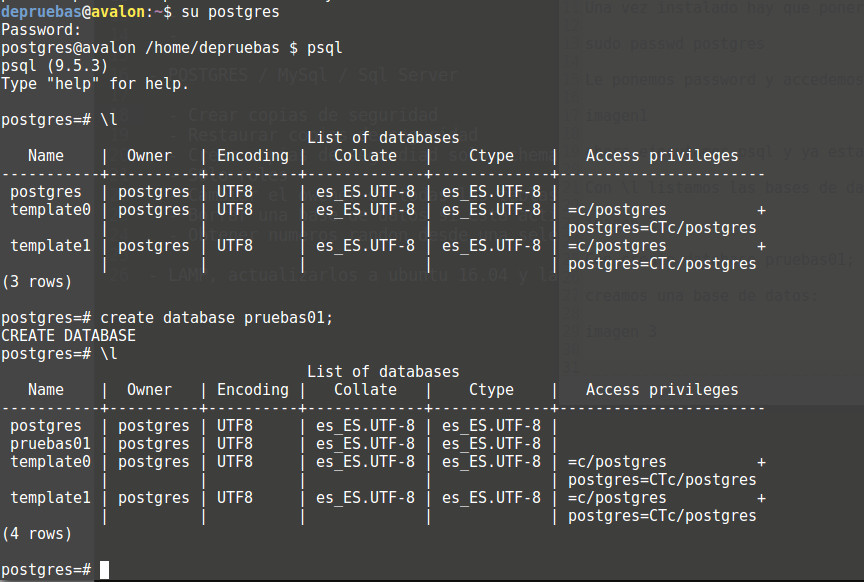 Listamos las bases de datos de postgreSQL